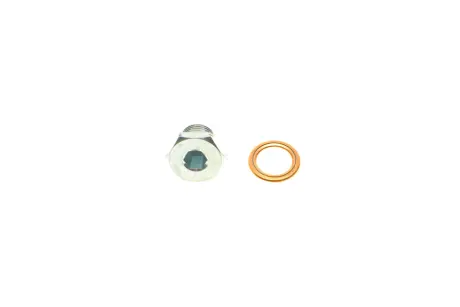 Болт зливу оливи + шайба Citroen Berlingo/Jumper/Jumpy/Peugeot Boxer/Expert/Partner 96- (M14x1.25) AIC 52880