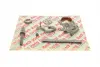Комплект ланцюга ГРМ BMW 3 (E46/E90/E91)/5 (E60/E61) 1.6/1.8/2.0 98-13 (N43/N46) (52z) AIC 59807Set (фото 2)