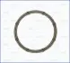Прокладка впускного коллектора RENAULT LAGUNA II 2.2d AJUSA 01018400 (фото 1)
