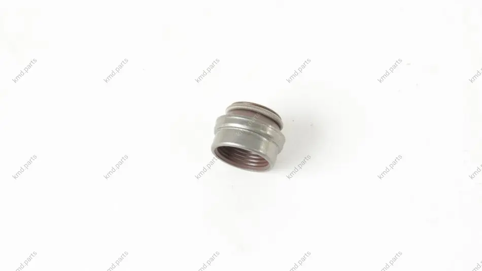 Ущільнювальне кільце, шток клапана Ajusa AJUSA 12004500 (фото 1)