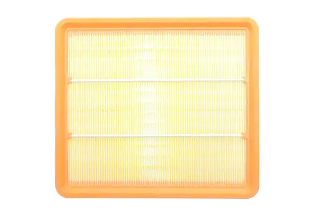 Фільтр повітряний Chevrolet Evanda 2.0i 16V 02-/Epica 2.0/2.0-2.5 24V 05-11/Chery Easter 1.8-2.4 06- ALPHA FILTER AF1675
