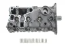 Головка блоку циліндрів VW T5/T6 2.0 TSI 11-19 AMC 910708 (фото 1)
