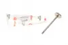 Клапан (впуск) BMW 3 (E36/E46)/5 (E39)/7 (E38) 1.8-3.0 89-10 (32.9x6x106.1) (азотований) AMP PBMW018-S-0-N (фото 1)