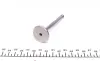 Клапан (выпуск) VW Caddy/LT 28-35/LT 40-55 2.4D 78-(31.2x8x95) (азотированный)) AMP PVWG017-A-0-N (фото 2)