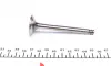 Клапан (выпуск) VW Caddy/LT 28-35/LT 40-55 2.4D 78-(31.2x8x95) (азотированный)) AMP PVWG017-A-0-N (фото 3)