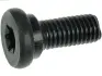 Болт з головкою системи TORX з чорного металу AS-PL SRS3060S (фото 1)