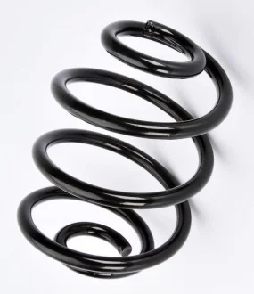 Пружина підвіски Ланос/Сенс/Нексія зад (кратно 2) ASAM 75426