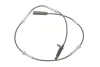 Датчик ABS (задній) BMW 5 (G30)/7 (G11/G12) 15- B47/B48/B57/B58/N63 ATE 24.0711-5596.3 (фото 1)