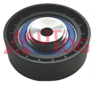 Ролик натяжний ГРМ Connect/Focus 1.8TDCi 02- AUTLOG RT1467