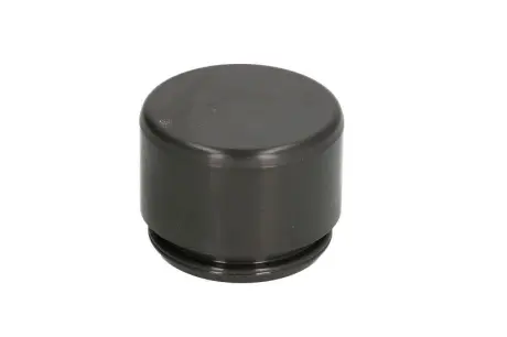 Поршень гальмівного супорта D0-25255 AUTOFREN D025255