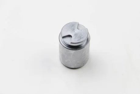 Комплект поршнів супорта SEINSA AUTOFREN D025267