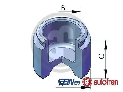 Елементи гальмівного супорта (Поршень) (SEIN) AUTOFREN D025346