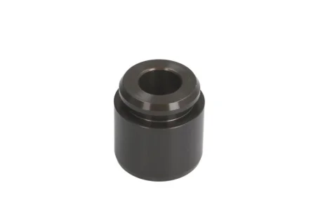 Комплект поршнів супорта SEINSA AUTOFREN D025366