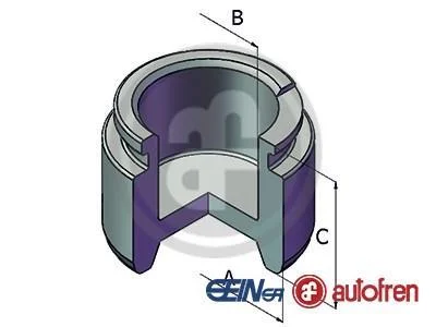 Комплект поршнів супорта SEINSA AUTOFREN D025479