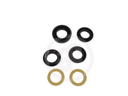 Комплект головного циліндра SEINSA AUTOFREN D1233