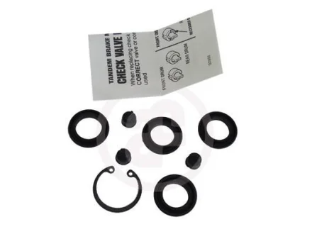 Комплект головного циліндра SEINSA AUTOFREN D1352