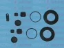 Ремкомпл. супорта зад. Daily 06-(розширений/48 mm)(Brembo) AUTOFREN D42245 (фото 1)