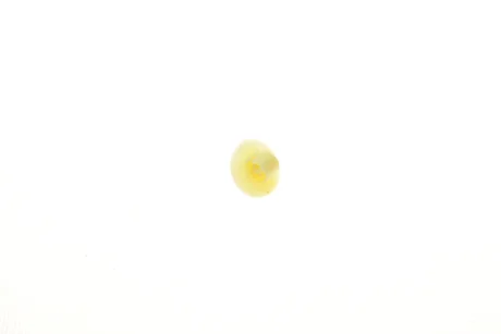 Кліпса кріплення молдинга MB Sprinter 906/VW Crafter 06- Autotechteile AUTOTECHTEILE 1009965