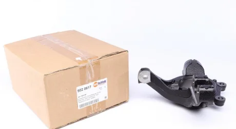 Кулак (цапфа) Citroen Berlingo 08- (R) AUTOTECHTEILE 5020617