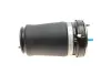 Подушка пневмоподвески (спереди) BMW X5 (E53) 00-06 (L) AUTOTECHTEILE 700 3305 (фото 4)