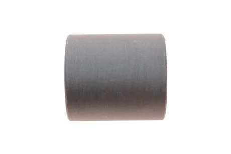 Сайлентблок важеля (переднього/спереду) Fiat Scudo 96- (вставка) BELGUM PARTS BG0609