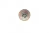 Свічка розжарювання (автономки) (24V) (Webasto) (M24x1.5mm) BERU GH931 (фото 2)