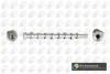 Розподільний вал Berlingo/Connect/Partner 1.6 HDi/TDCi 10- BGA CS2300 (фото 1)