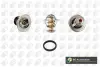 Термостат BGA CT5571 (фото 1)