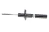 Амортизатор (передній) VW CC 09-17 Passat (3C2) 06-10 Passat (357/365) 12-19 d=55mm (B4) BILSTEIN 22-151056 (фото 1)