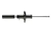 Амортизатор підвіски 22-183712 BILSTEIN 22183712 (фото 1)