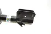 Амортизатор (передній) Ford Mondeo V 1.0-2.0D 14- (L) (B4) BILSTEIN 22-263773 (фото 4)