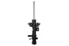 Амортизатор передн прав FORD FOCUS IV 1.0-2.0D 01.18-11.25 22-295903 BILSTEIN 22295903 (фото 1)
