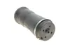 Пневморесора MB GLE/GLS/GL-Class/M-Class "R "05-19 "(Air) ="" BILSTEIN 40247687 (фото 5)