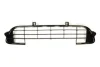Решітка бампера передн (Нижн/середн) CITROEN C3 I 07.05-12.10 5703-05-0519911P BLIC 5703050519911P (фото 1)