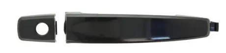 Дверна ручка 6010-56-005405P BLIC 601056005405P