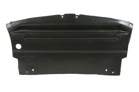 Кришка під бампером FORD MUSTANG 09.04-02.09 6601-02-2585881P BLIC 6601022585881P