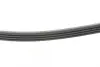 Ремінь генератора Renault Clio/Kangoo 1.4i/1.6 98-03 / Toyota Land Cruiser 4.2 98-07 (4PK1237) BLUE PRINT AD04R1237 (фото 2)