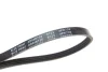 Ремінь генератора Ford Transit 2.0 TDCI 00-06/ Jaguar X-Type2.2 05-09/ Nissan Micra 1.3-1.4 92-03 BLUE PRINT AD04R735 (фото 2)