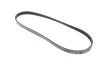 Ремінь генератора Honda Civic VI/ Nissan Primera 1.4-1.6 94-01/ Lexus GS 3.5 12-/ Toyota IQ 1.3 09- BLUE PRINT AD04R800 (фото 5)