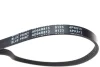 Ремінь генератора Hyundai Elantra 1.6 00-06/ Accent 1.4-1.6 00-10/ Nissan Primera 1.6 96-02 BLUE PRINT AD04R813 (фото 2)