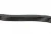 Ремень генератора Renault Kangoo/ Modus 1.4-1.6 04-/ Toyota Avensis/ Corolla 2.0 99-03 (5PK1135) BLUE PRINT AD05R1135 (фото 2)