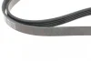 Ремень генератора Renault Kangoo/ Modus 1.4-1.6 04-/ Toyota Avensis/ Corolla 2.0 99-03 (5PK1135) BLUE PRINT AD05R1135 (фото 3)