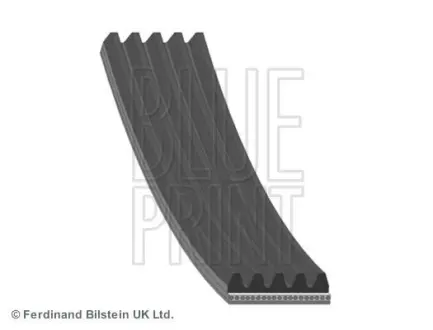 Ремінь генератора Renault Kangoo/ Modus 1.4-1.6 04-/ Toyota Avensis/ Corolla 2.0 99-03 (5PK1135) BLUE PRINT AD05R1135