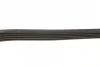 Ремень генератора Peugeot 605 2.0 89-99/ Ford Fiesta1.8 95-03/ Honda Civic/ Fit/ Jazz 1.2-1.4 02- BLUE PRINT AD05R1138 (фото 2)