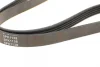 Ремень генератора Peugeot 605 2.0 89-99/ Ford Fiesta1.8 95-03/ Honda Civic/ Fit/ Jazz 1.2-1.4 02- BLUE PRINT AD05R1138 (фото 3)