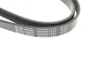 Ремінь генератора Opel Astra G 1.2i-1.4i 04-/ Corsa1.0-1.4/ Agila 1.0-1.2 00-07 BLUE PRINT AD05R1230 (фото 4)