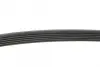 Ремінь генератора Renault Kangoo 1.5 dCi/ Citroen C5/ C6/ C8/ Xantia/ XM Break 2.0-2.2 92- BLUE PRINT AD06R1200 (фото 2)