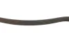Ремінь генератора VW Amarok/Kia Sorento/Fiat Freemont 2.0/2.4/2.4 CVVT/3.0TDI 09- BLUE PRINT AD06R2575 (фото 3)