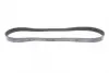 Ремінь генератора Citroen Berlingo/VW Golf III 1.4-2.0i 91-/ Ford Fiesta/ Focus 1.4-1.6 TDCi 03- BLUE PRINT AD06R975 (фото 3)