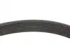 Ремінь генератора Mazda 3/ 5/ 6 2.0 DI/CD 02-10 (8PK1225) BLUE PRINT AD08R1225 (фото 2)